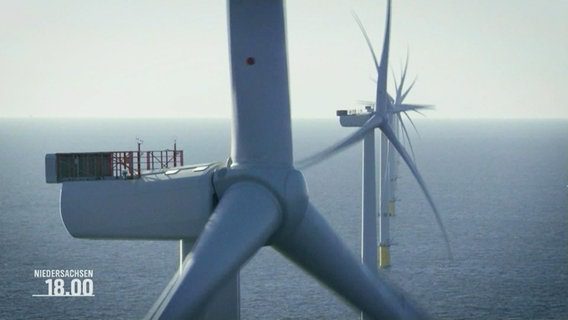 Turbine eoliche in un parco eolico offshore. Turbine eoliche in un parco eolico offshore. © Schermata