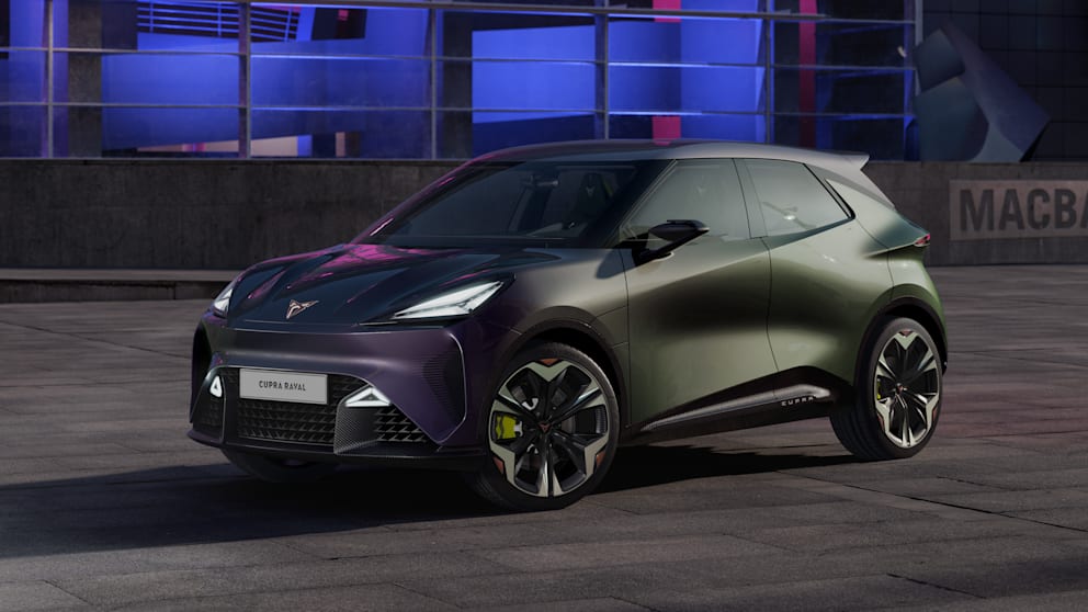 Il Rafale riprende il look sportivo degli altri modelli Cobra. Il produttore dice: