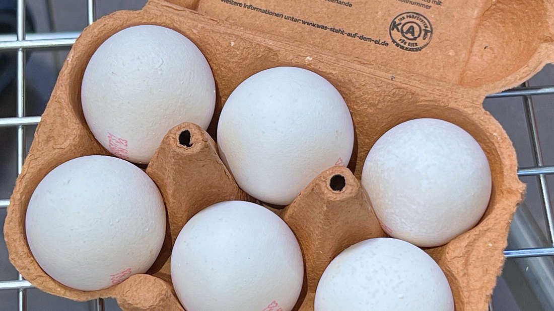 Sei uova bianche in una scatola di uova