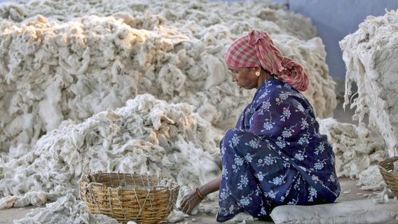 Una donna seleziona il cotone per il mercato del cotone in India Una donna seleziona il cotone per il mercato indiano © photo Alliance/dpa/EPA