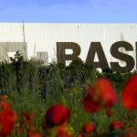 Corte arbitrale: Bayer Stock chiude più forte: Bayer non deve pagare a BASF alcun danno per le offerte di semi della Monsanto |  newsletter