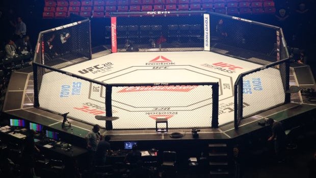 Musk contro Zuckerberg potrebbe portare miliardi di pionieri digitali