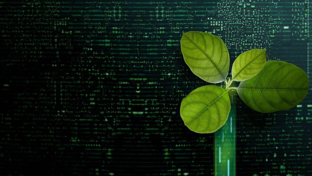 Le aziende tedesche stanno investendo nell’IT verde