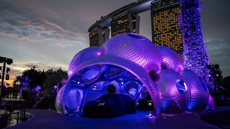Un luogo insolito per il salone: la Macan è stata svelata nel polmone verde di Singapore, ai Gardens by the Bay.