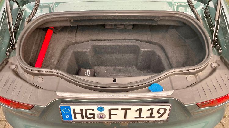 Il tronco è stretto. È meglio portare con sé una borsa di stoffa flessibile quando si viaggia.